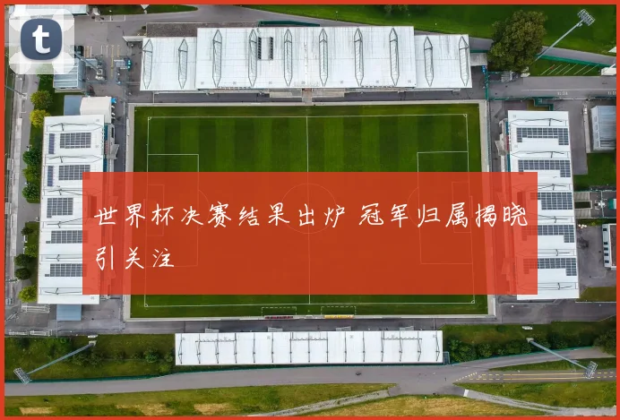 世界杯决赛结果出炉 冠军归属揭晓引关注