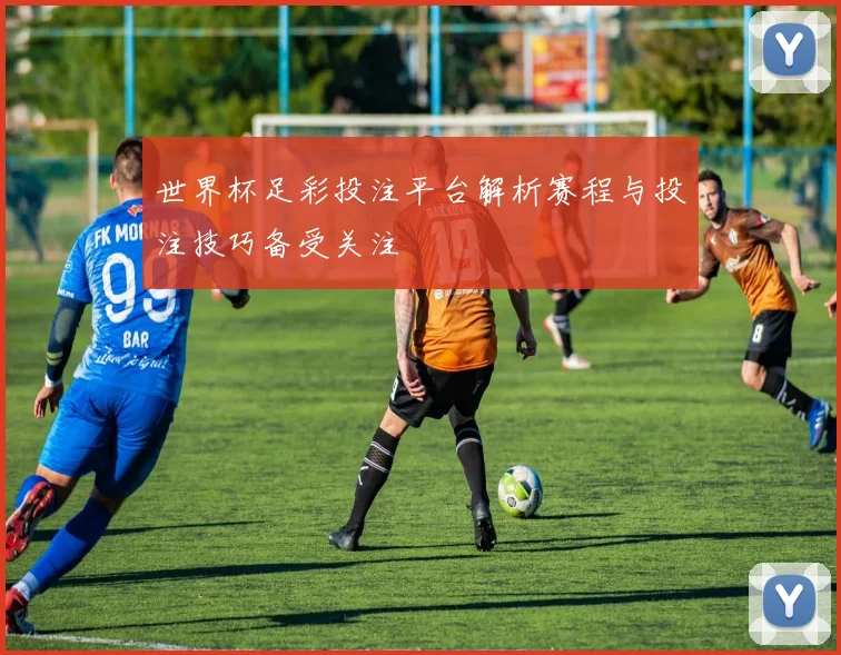 世界杯足彩投注平台解析赛程与投注技巧备受关注