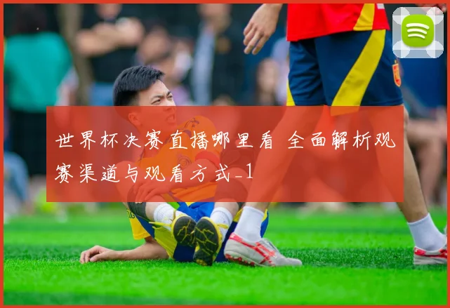 世界杯决赛直播哪里看 全面解析观赛渠道与观看方式_1